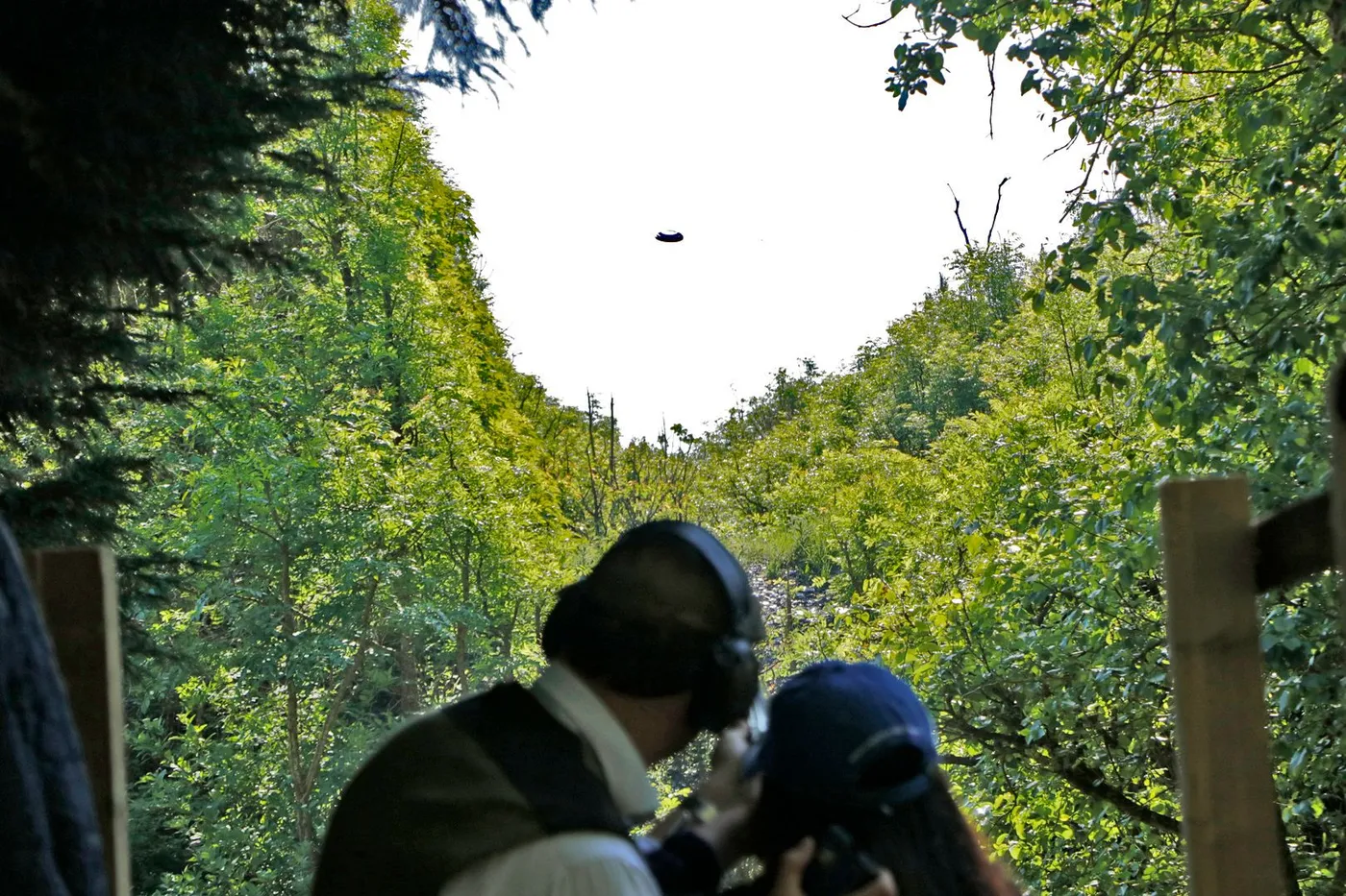 A clay in flight above a woodland stand, with a coach and shooter in the foreground